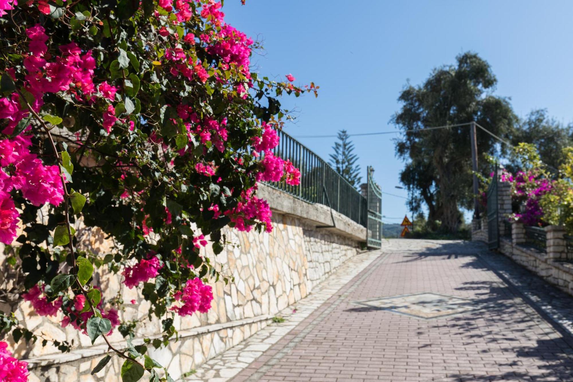 Villa Anthoussa In Palaiokastritsa Εξωτερικό φωτογραφία